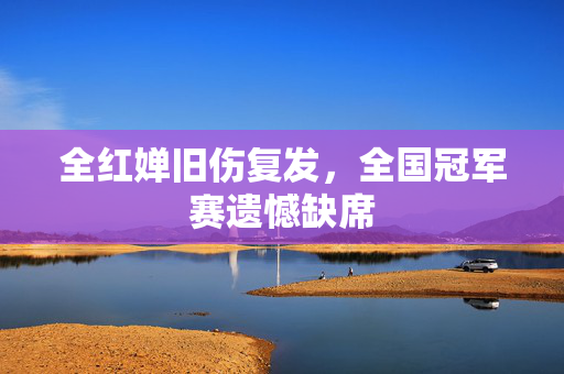 全红婵旧伤复发，全国冠军赛遗憾缺席