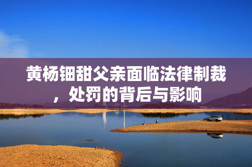 黄杨钿甜父亲面临法律制裁，处罚的背后与影响