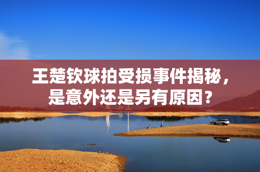 王楚钦球拍受损事件揭秘，是意外还是另有原因？