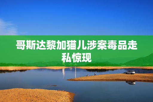 哥斯达黎加猫儿涉案毒品走私惊现
