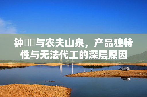 钟睒睒与农夫山泉，产品独特性与无法代工的深层原因