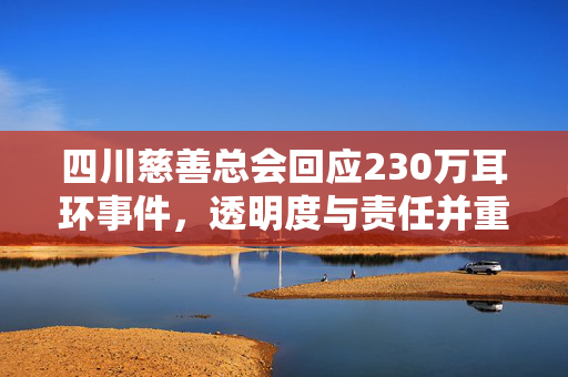 四川慈善总会回应230万耳环事件，透明度与责任并重