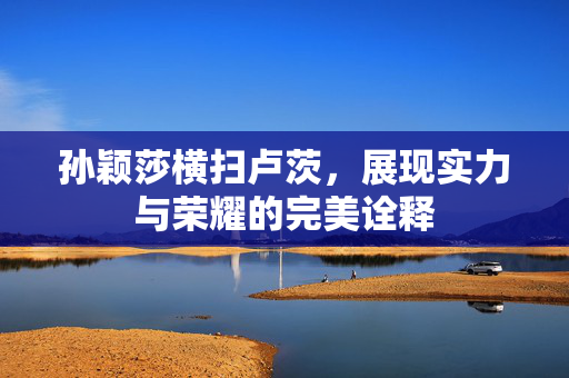 孙颖莎横扫卢茨，展现实力与荣耀的完美诠释