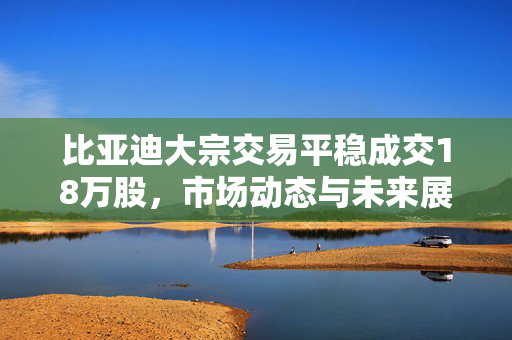 比亚迪大宗交易平稳成交18万股，市场动态与未来展望