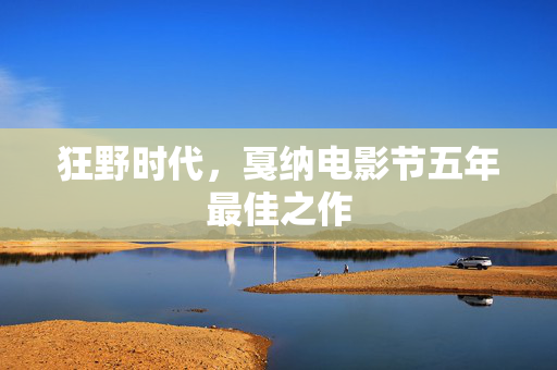 狂野时代，戛纳电影节五年最佳之作