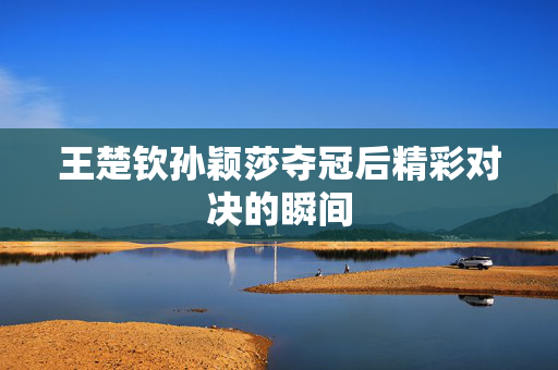 王楚钦孙颖莎夺冠后精彩对决的瞬间