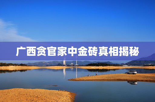 广西贪官家中金砖真相揭秘