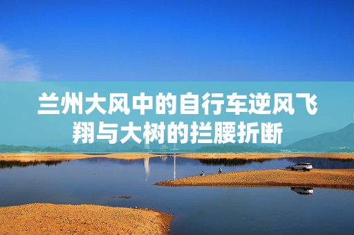兰州大风中的自行车逆风飞翔与大树的拦腰折断