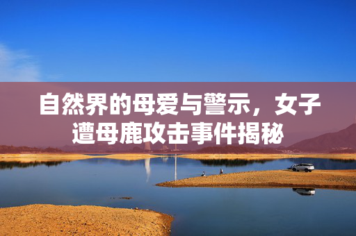 自然界的母爱与警示，女子遭母鹿攻击事件揭秘
