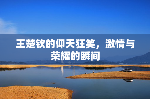 王楚钦的仰天狂笑，激情与荣耀的瞬间