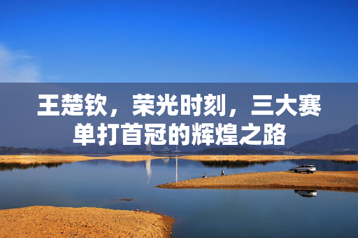 王楚钦，荣光时刻，三大赛单打首冠的辉煌之路