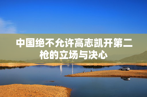 中国绝不允许高志凯开第二枪的立场与决心