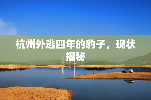 杭州外逃四年的豹子，现状揭秘