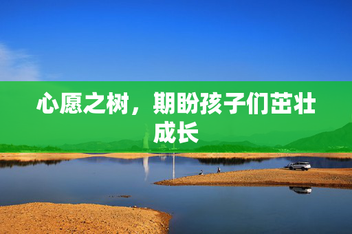 心愿之树，期盼孩子们茁壮成长