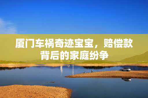 厦门车祸奇迹宝宝，赔偿款背后的家庭纷争