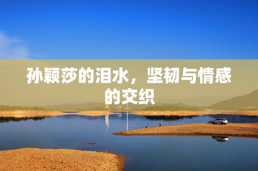 孙颖莎的泪水，坚韧与情感的交织