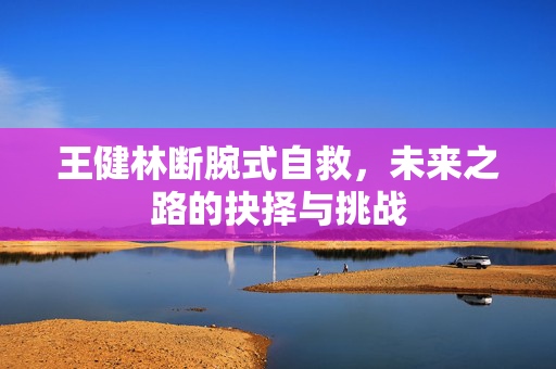 王健林断腕式自救，未来之路的抉择与挑战