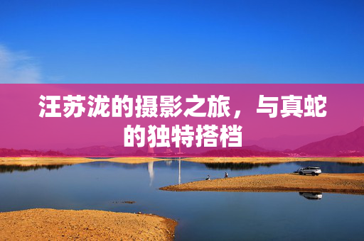汪苏泷的摄影之旅，与真蛇的独特搭档