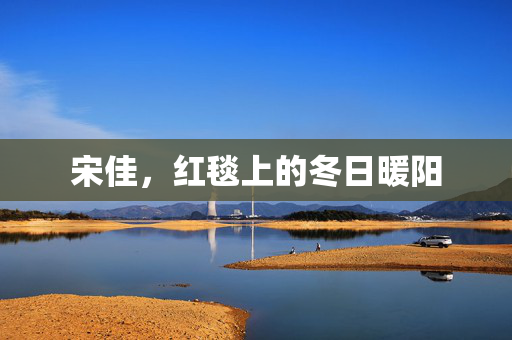宋佳，红毯上的冬日暖阳