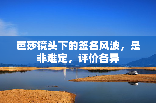 芭莎镜头下的签名风波，是非难定，评价各异