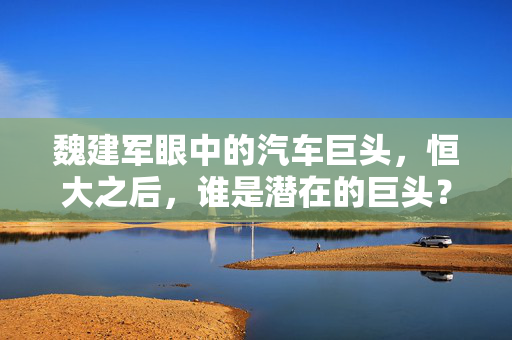 魏建军眼中的汽车巨头，恒大之后，谁是潜在的巨头？