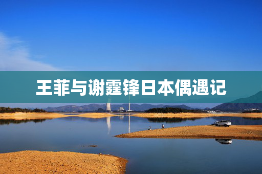 王菲与谢霆锋日本偶遇记