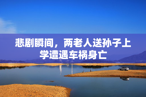 悲剧瞬间，两老人送孙子上学遭遇车祸身亡