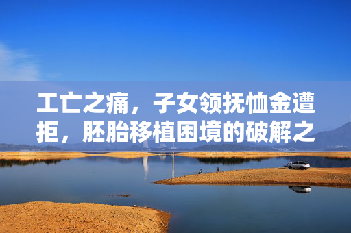 工亡之痛，子女领抚恤金遭拒，胚胎移植困境的破解之道