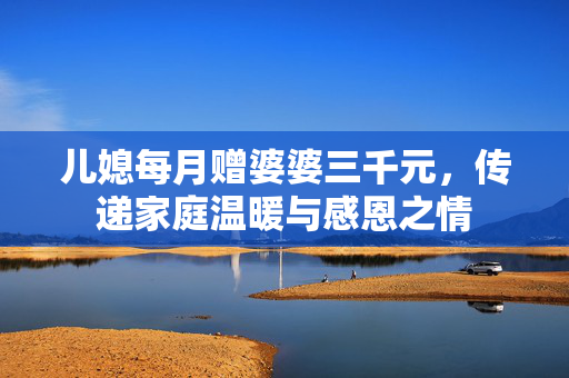 儿媳每月赠婆婆三千元，传递家庭温暖与感恩之情