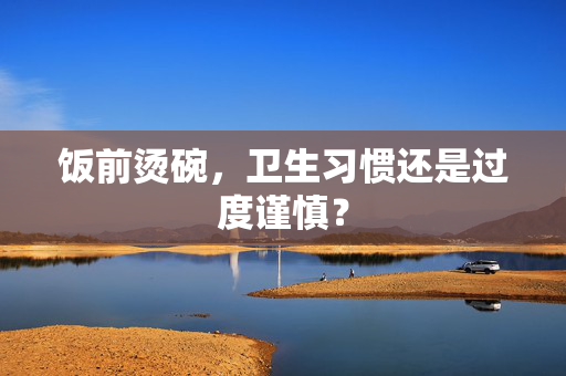 饭前烫碗，卫生习惯还是过度谨慎？