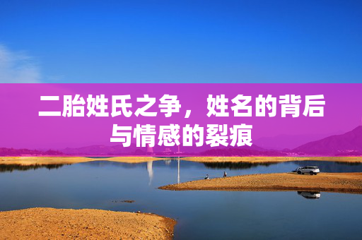 二胎姓氏之争，姓名的背后与情感的裂痕
