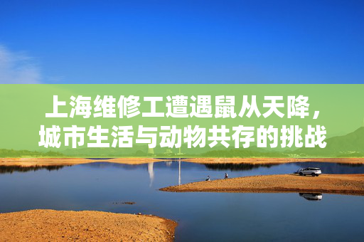 上海维修工遭遇鼠从天降，城市生活与动物共存的挑战