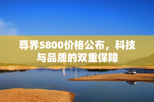 尊界S800价格公布，科技与品质的双重保障