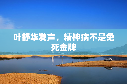 叶舒华发声，精神病不是免死金牌