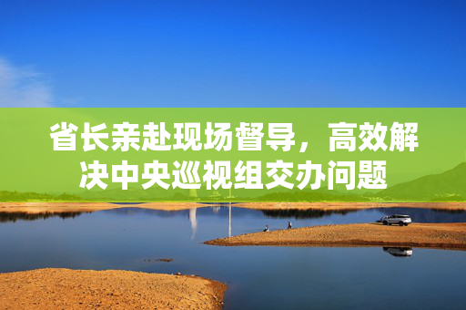 省长亲赴现场督导，高效解决中央巡视组交办问题