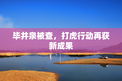 毕井泉被查，打虎行动再获新成果