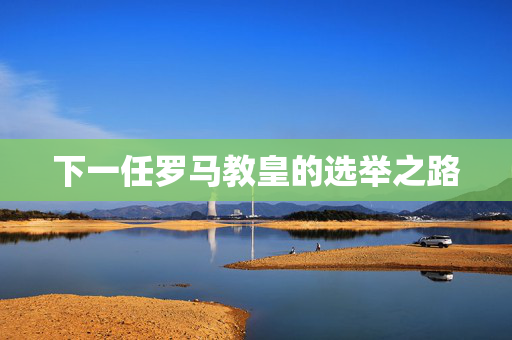 下一任罗马教皇的选举之路