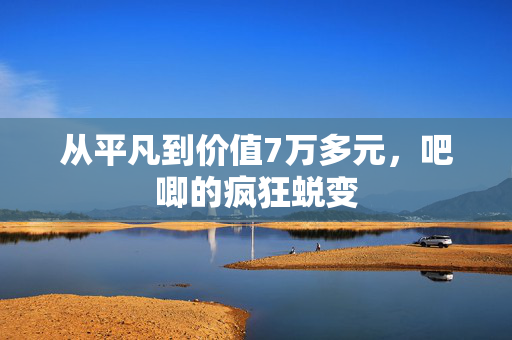 从平凡到价值7万多元，吧唧的疯狂蜕变