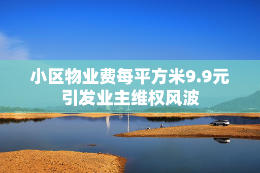 小区物业费每平方米9.9元引发业主维权风波
