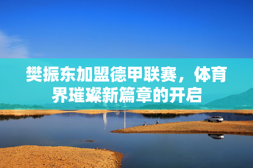樊振东加盟德甲联赛，体育界璀璨新篇章的开启