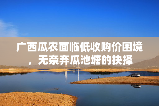 广西瓜农面临低收购价困境，无奈弃瓜池塘的抉择