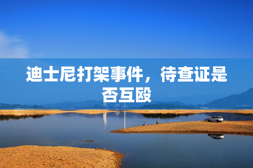 迪士尼打架事件，待查证是否互殴