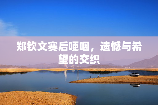 郑钦文赛后哽咽，遗憾与希望的交织