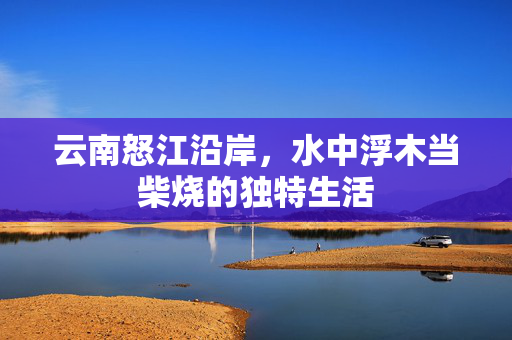 云南怒江沿岸，水中浮木当柴烧的独特生活