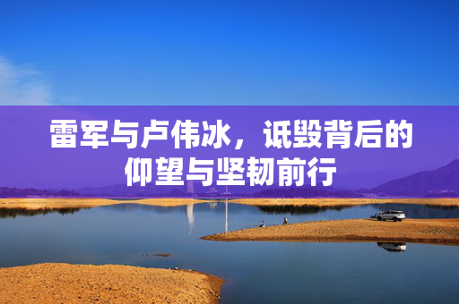 雷军与卢伟冰，诋毁背后的仰望与坚韧前行