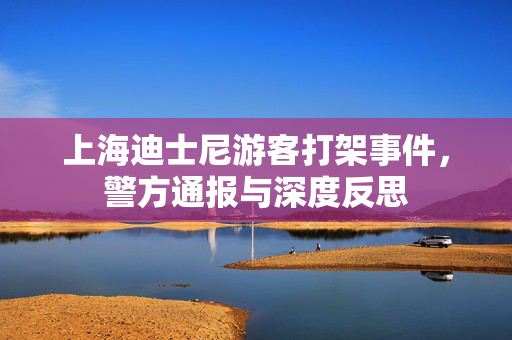 上海迪士尼游客打架事件，警方通报与深度反思