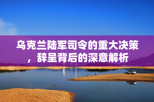 乌克兰陆军司令的重大决策，辞呈背后的深意解析