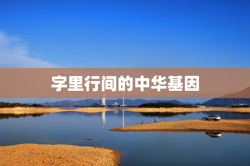 字里行间的中华基因