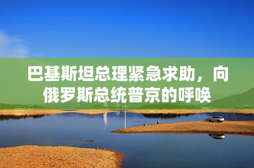 巴基斯坦总理紧急求助，向俄罗斯总统普京的呼唤