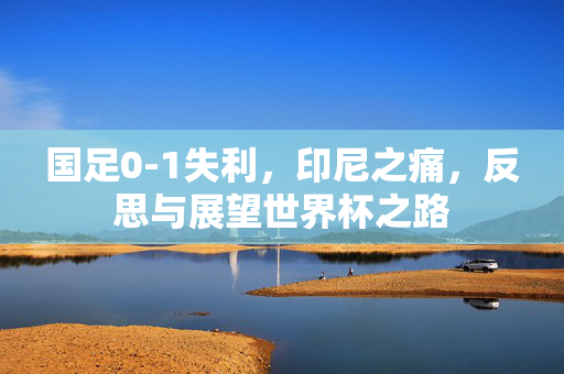 国足0-1失利，印尼之痛，反思与展望世界杯之路